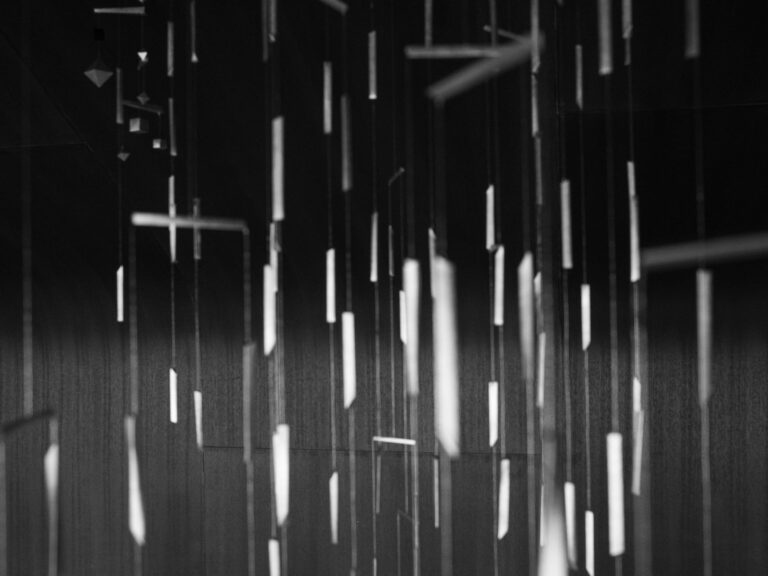 「夏の雨 夏の星」展 vol.05
